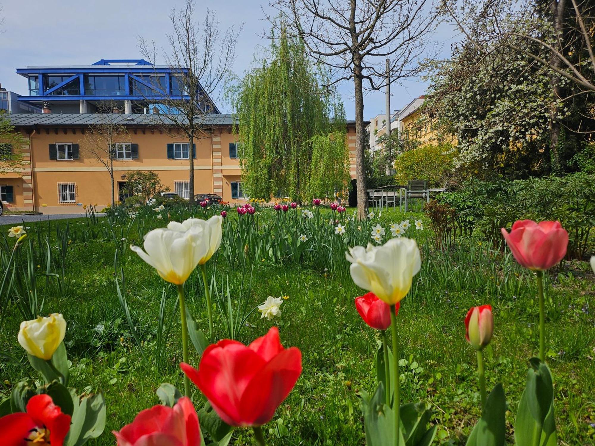 Yellow Flat By Grazrentals With Best Location & Free Parking Exteriér fotografie